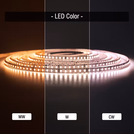 Factory Sale Lowest Price CE RoHS Indoor Office Home Landscape Tira LED Light Flexible LED Strip Light